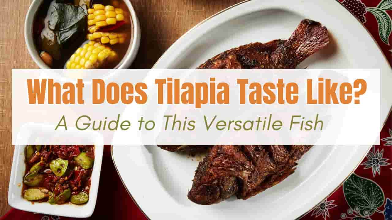 What Does Tilapia Taste Like