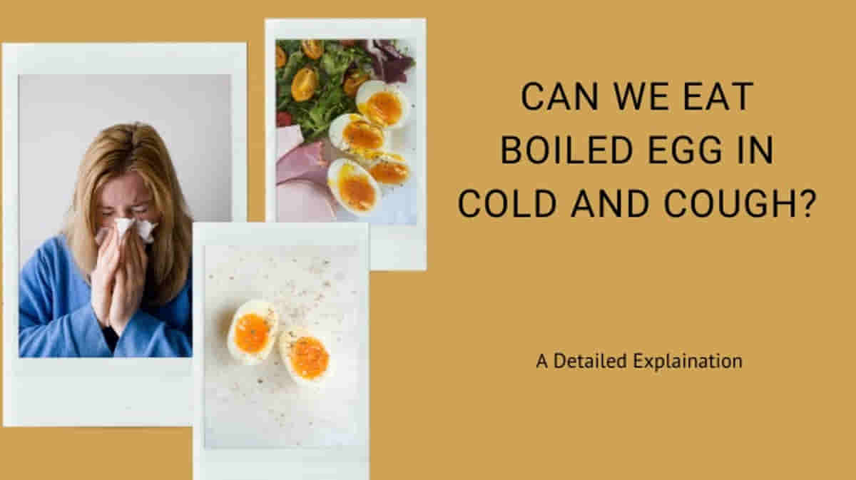 Can We Eat Boiled Egg in Cold and Cough